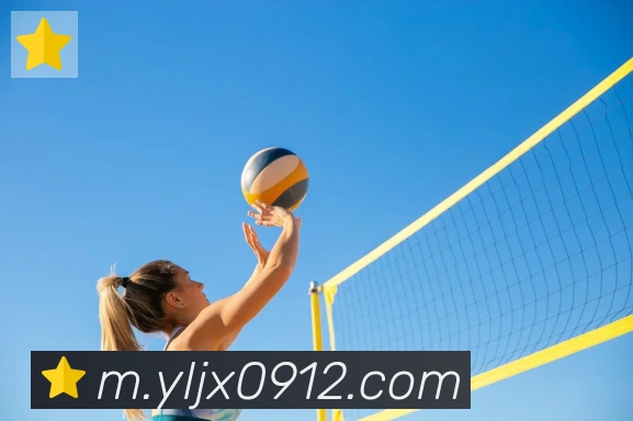 博亚app官网发展历程