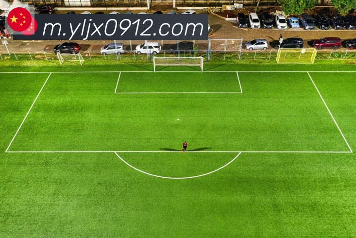 博亚app官网APP 封面图